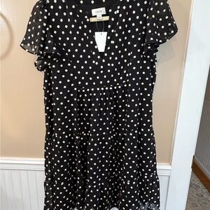 CeCe Black Dress with Cream Floral Embroidery